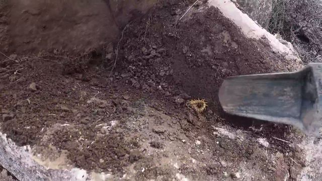 Tılsımlı Hazine Bulma Anı /treasure Hunting