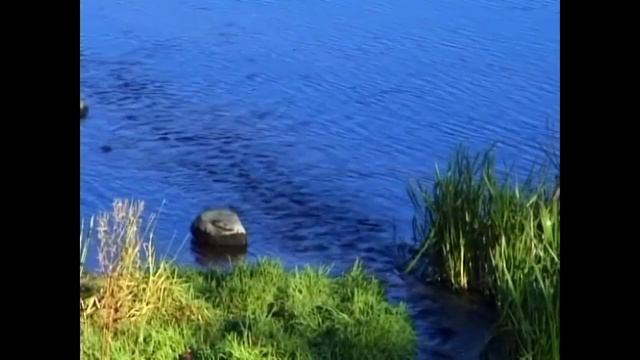 ГАТЧИНА // ЭКСКУРСИЯ В ГАТЧИНУ