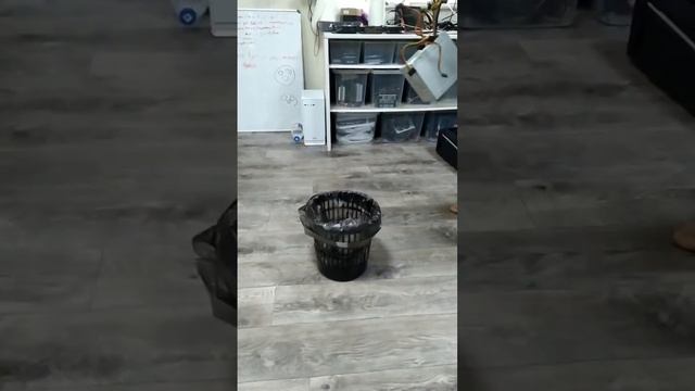 Как собрать дешево компьютер смотреть онлайн