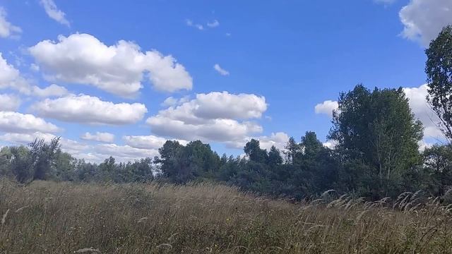 Растущая луна с 8 - 20 сентября 2021. Что нужно успеть сделать. Чего не нужно делать... смотреть онлайн