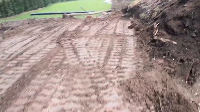 Gabionen zur Hangsicherung #2 Untergrund mit dem Bagger vorbereiten смотреть онлайн