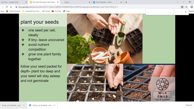Traditional Seed Starting for the Urban Gardener Part 1 смотреть онлайн