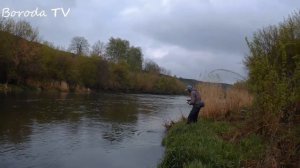 Ловля жереха на джиг. Жерех весной на спиннинг.