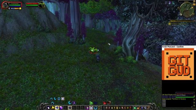 World of Warcraft Quest Guide: The Branch of Cenarius ID: 26468 смотреть онлайн