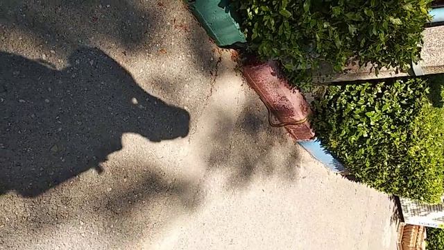 Сказочная змея в Поляне Сказок,в Ялте смотреть онлайн