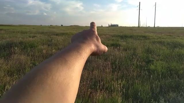 Степь в северном Крыму куда более надежный медонос и пыльценос чем поля. смотреть онлайн