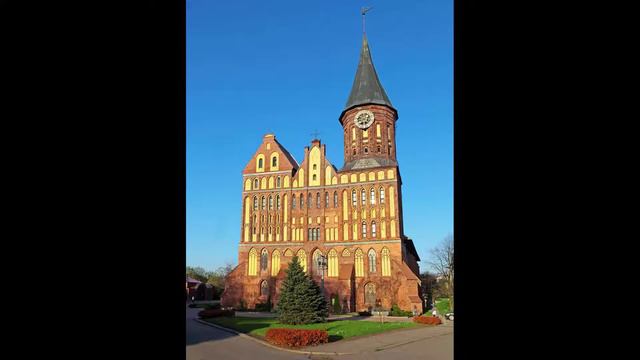 Власти Калининградской области предложили снять ограничения на поездки в ЕС смотреть онлайн