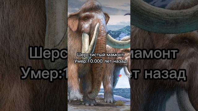 какие звуки издавали вымиршие животные смотреть онлайн