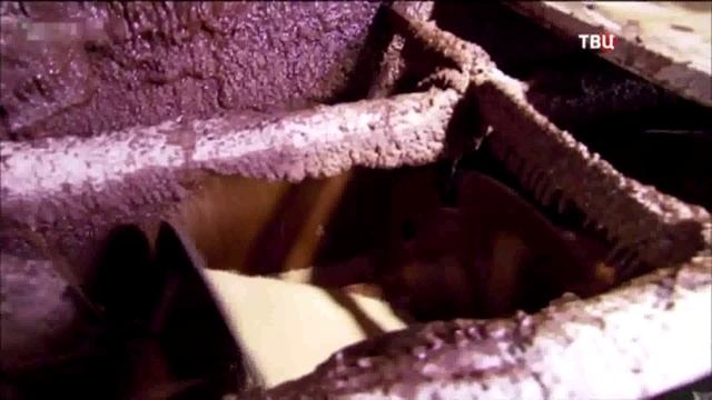 Белый или коричневый сахар. Вред и польза сахара смотреть онлайн