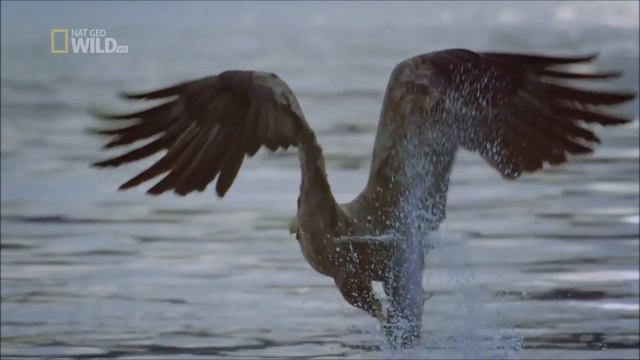 НОВОЕ Христианское прославление! Я верю что есть Воскресение (Official Video) HD смотреть онлайн