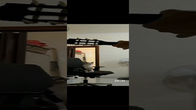 🥰🥰👍 смотреть онлайн