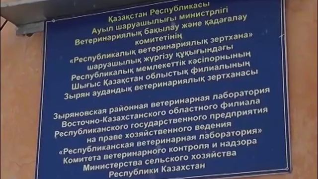 24 часа 14 01 16 В банане обнаружены сгустки напоминающие кровь смотреть онлайн