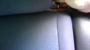 ключ каризма и спинка заднего ряда сидений