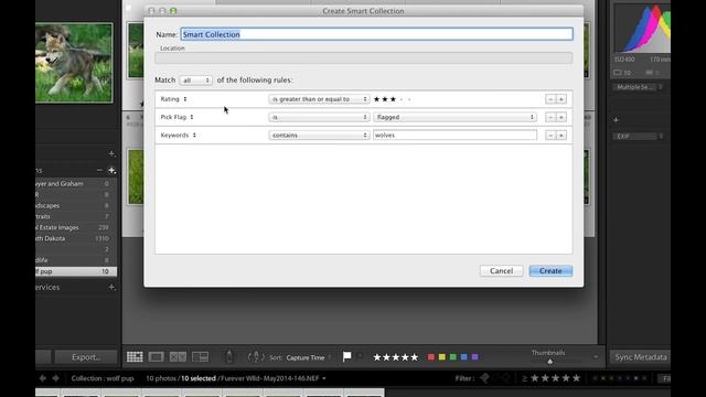 Adobe Lightroom 5: Creating Collections смотреть онлайн
