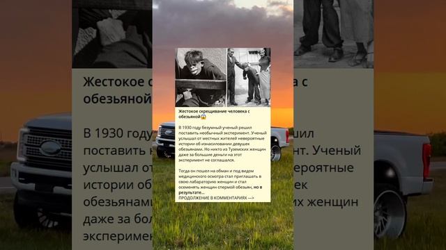 Жестокие эксперименты по скрещиванию человека с обезьяной ?. смотреть онлайн