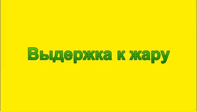 Волк против пятнистой гиены! Кто сильнее?! смотреть онлайн