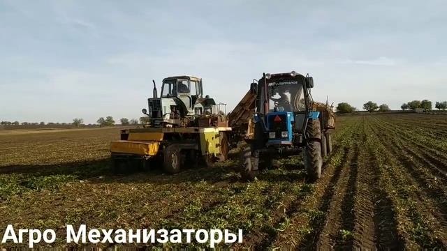 Уборка сахарной свеклы и камбаины РКС-6 и ВМ-6В и МТЗ 82.1?БУКСУЕТ? смотреть онлайн