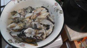 Правильная уха. Самый правильный рецепт настоящей рыбной ухи. Не жидкая.  Тройная уха. Уха из петух