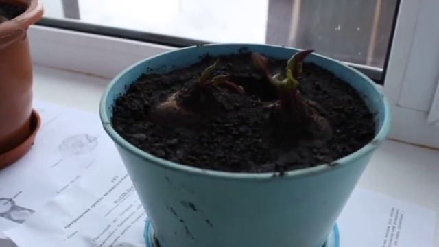 СтройИнсайдер