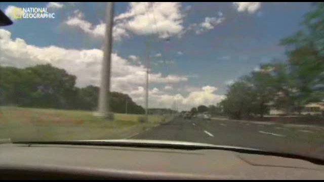 Gyógyító Marihuána: Kannabiszláz