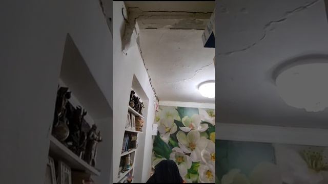 Дом, который забросил мэр (и губернатор Ставропольского края) смотреть онлайн