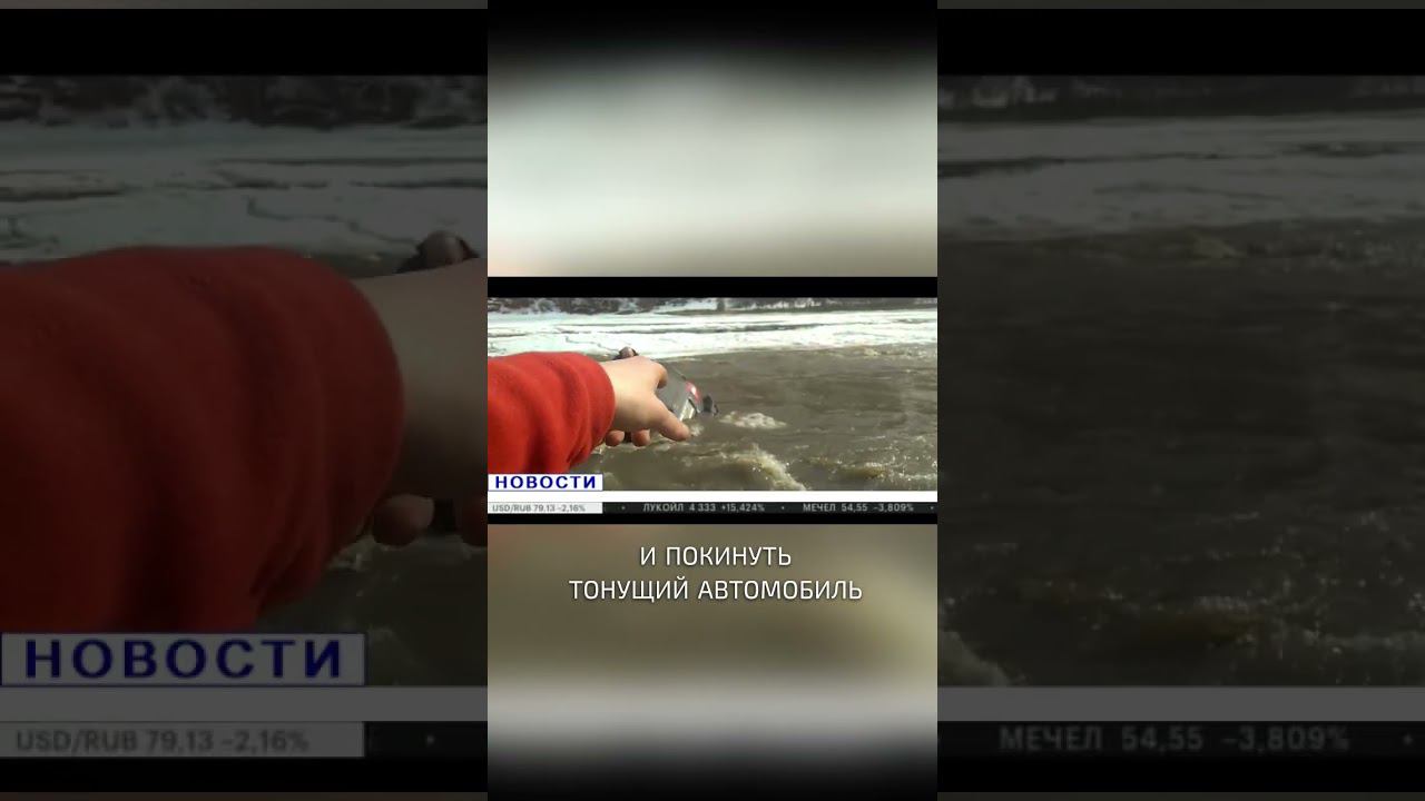 Срочные Новости #offroad #shorts #НаДжипе #offroad4x4 #алтай4х4 #трагедиянакрузере #срочныеновости смотреть онлайн