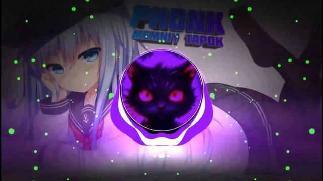 ⛄TMLYATL — MEMNIY TAPOK PHONK (ft.memn_tapk)⛄ смотреть онлайн