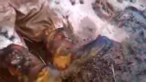 ПОКА НЕ СПУЩЕН КУРОК