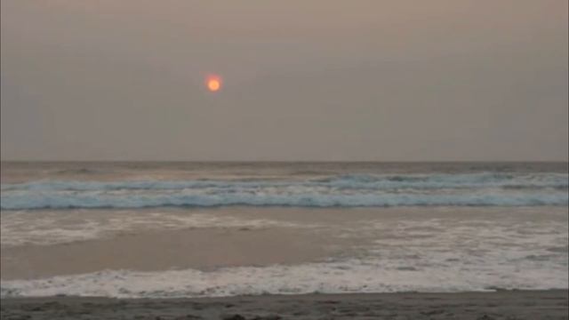 SAXOPHONE RELAXING BEACH RELAXATION MUSIC RELAXING смотреть онлайн