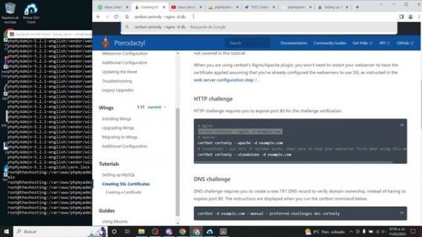 phpMyAdmin con Pterodactyl