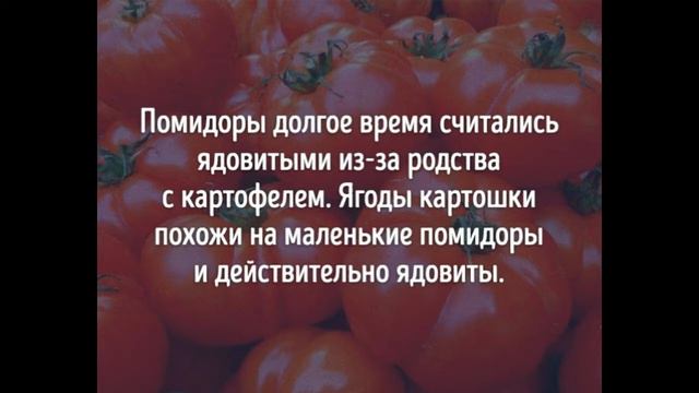 20 фактов о еде, от которых у вас отвиснет челюсть смотреть онлайн