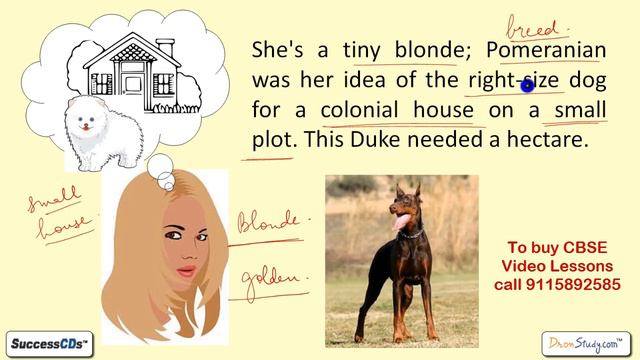 CBSE class 9 English "A Dog Named Duke"- explanation, Question answers Demo смотреть онлайн