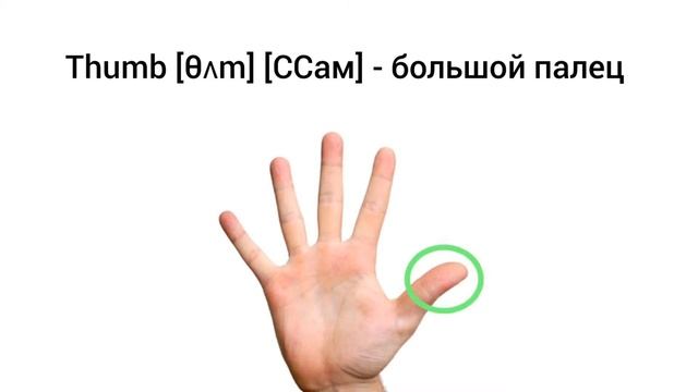 How to Pronounce thumb in English смотреть онлайн