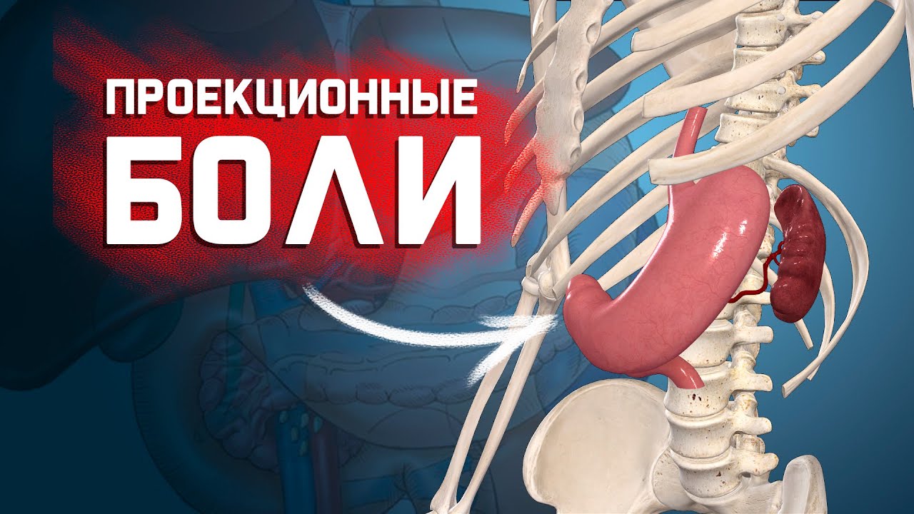 Боль из желудка и селезенки смотреть онлайн