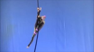 Дюдюка на канате