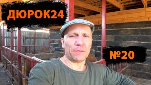 N°20 ЛЕТНИЙ
ВЫГУЛ(ЗАГОН)ДЛЯ
ПОРОСЯТ!!!