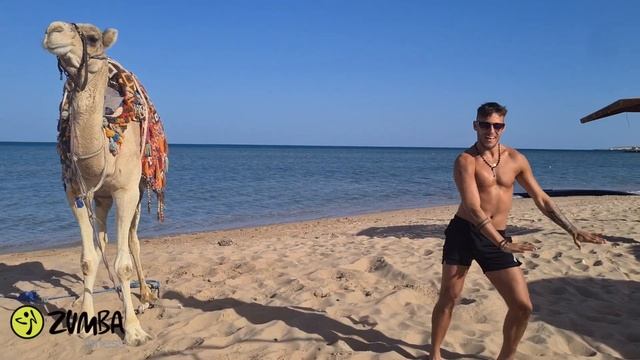 YA HABIBI - ZUMBA CHOREOGRAPHY by PAWEŁ MILHAUSEN - Mohamed Ramadan & Gims- смотреть онлайн