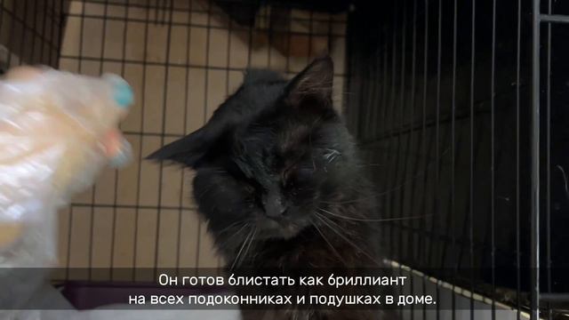 АРКХЕМ смотреть онлайн