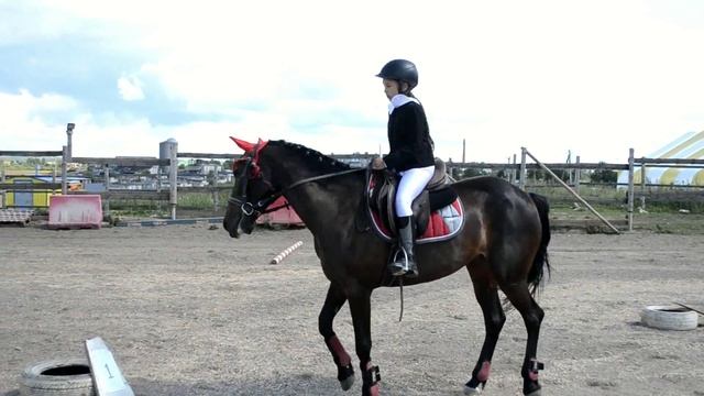 Конный клуб Возрождение смотреть онлайн