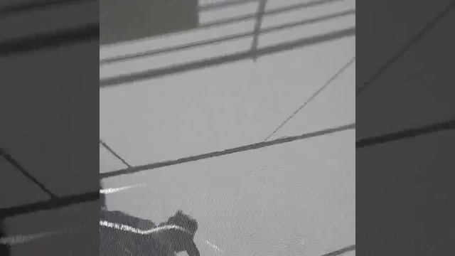 6D Glass Bridge Of Zhoushan, China