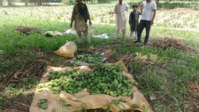 Most Beautiful Village Nainwal Punjab Pakistan || Village Life & Mud Houses Of Rural Punjab