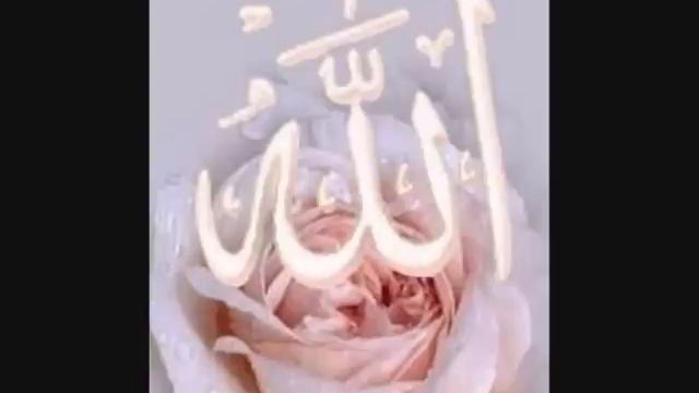 Uçun Kuşlar Medineye - Abdurrahman Önül | İlahiler