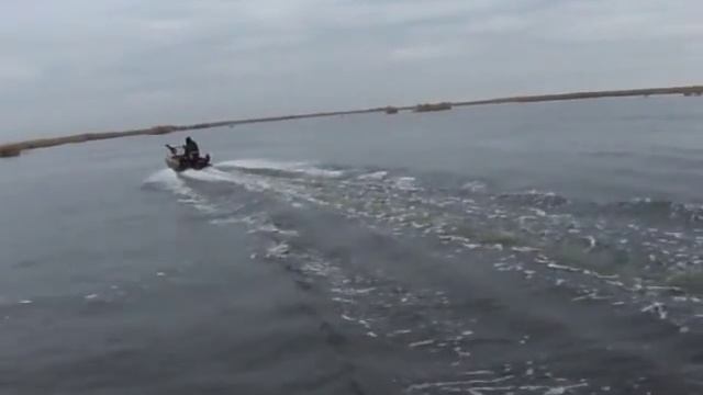 Касатка 305 и SEA PRO 15 смотреть онлайн