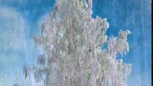 Bereoza Belaya Podruga Берёза белая подруга смотреть онлайн