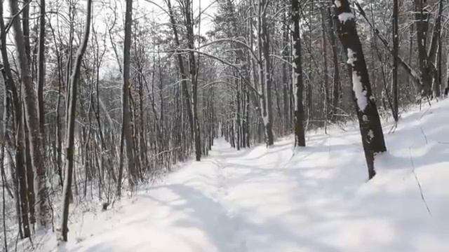самые красивые песни смотреть онлайн