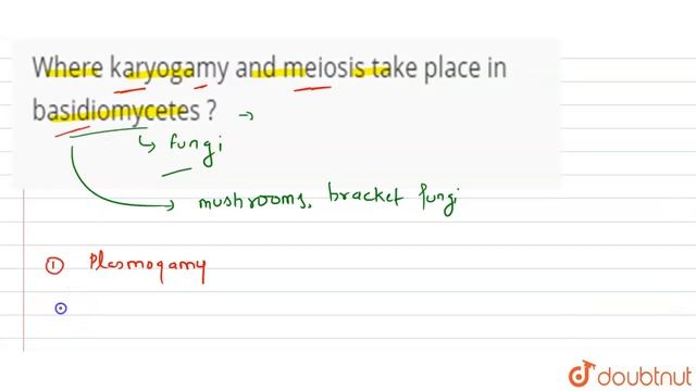 Where karyogamy and meiosis take place in basidiomycetes ? смотреть онлайн