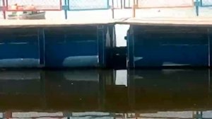 Удивительные примеры гнездования деревенской ласточки на территории Челябинской области