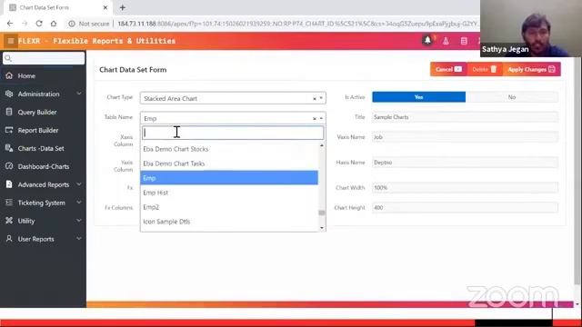 Flexible Reports and Utilities - Sathya Jegan смотреть онлайн