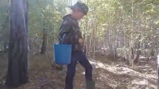 Поездка за грибами видео из архива смотреть онлайн