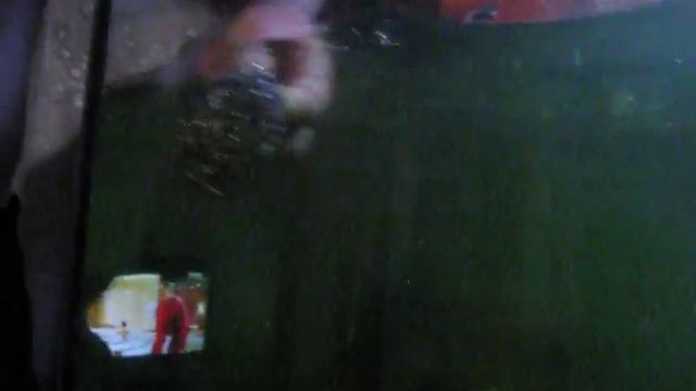 Как очистить зеленый налет на стенках аквариума смотреть онлайн